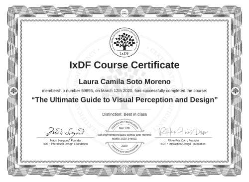 The Ultimate Guide to Visual Perception and Design certificate