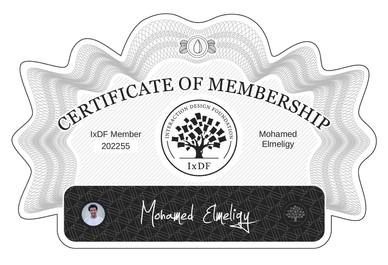 Certificate of Membership – Mohamed Elmeligy