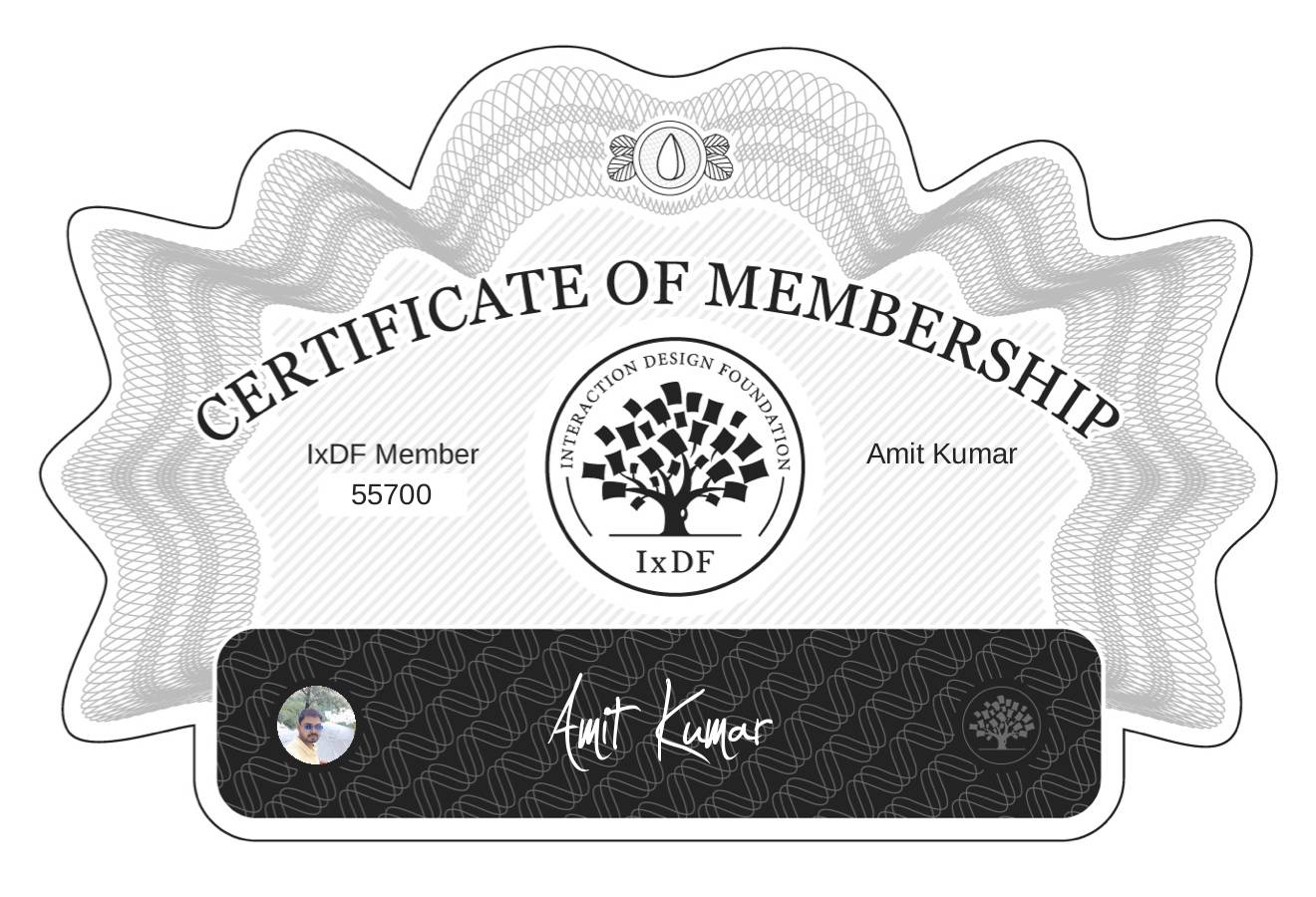 Certificate of Membership – Amit Kumar