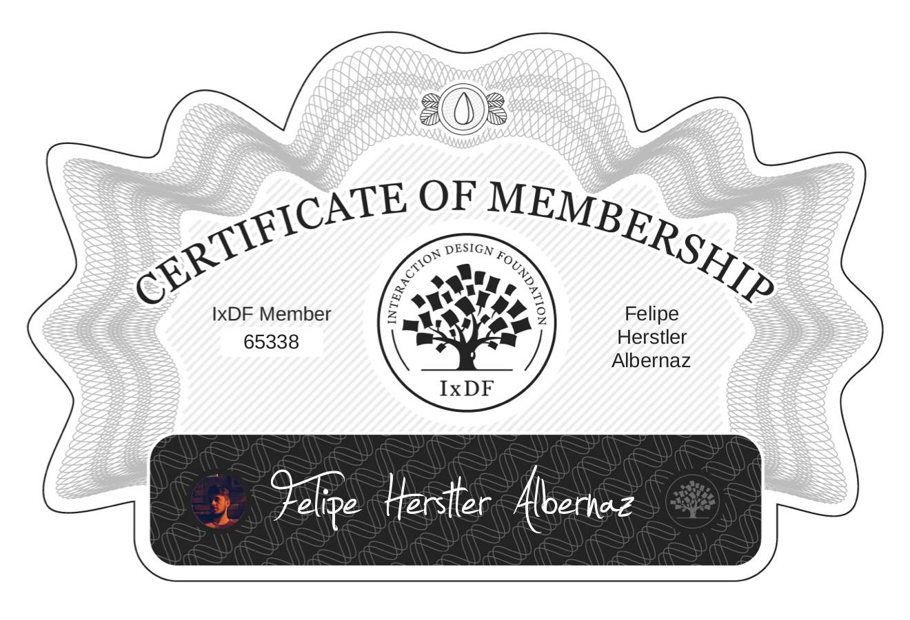 Certificate of Membership – Felipe Herstler Albernaz